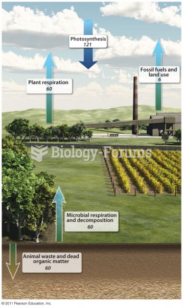 Soil and the Carbon Cycle