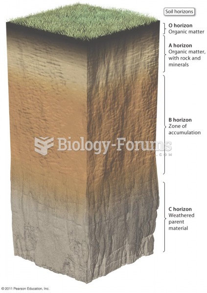 Typical Soil Profile