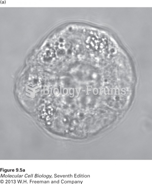 MDCK cells can form cysts in culture