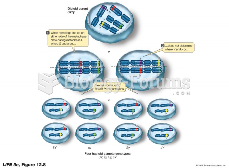 Meiosis Accounts for Independent Assortment of Alleles