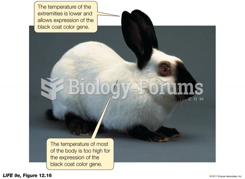 The Environment Influences Gene Expression