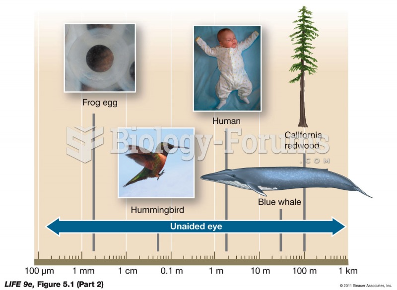 The Scale of Life 2