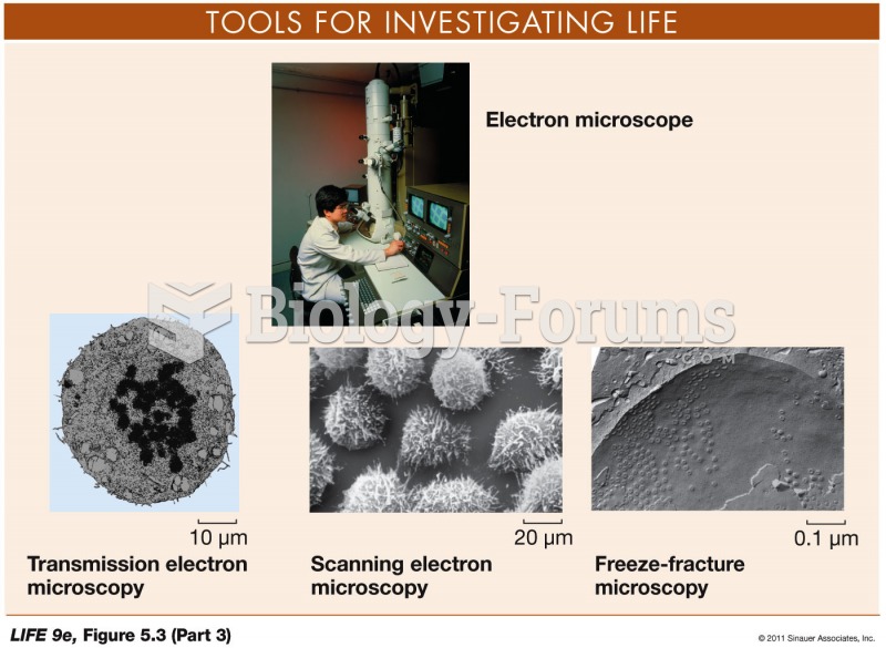 Looking at Cells