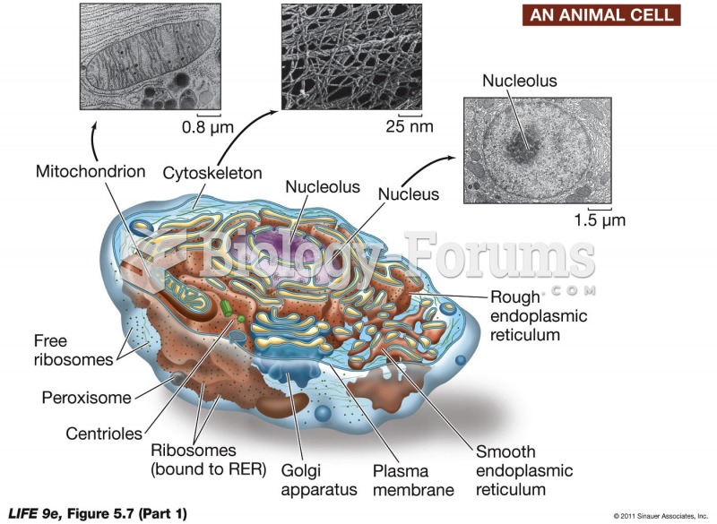 Eukaryotic Cells