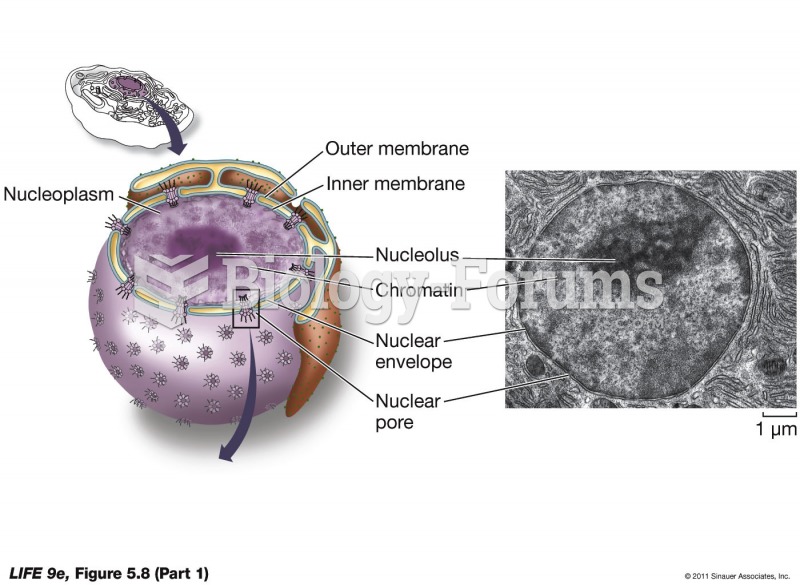 The Nucleus Is Enclosed by a Double Membrane
