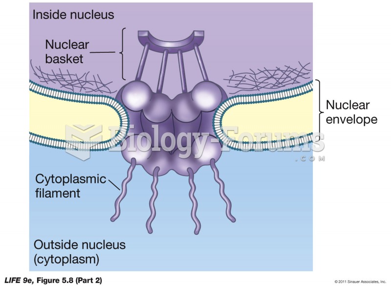 The Nucleus Is Enclosed by a Double Membrane