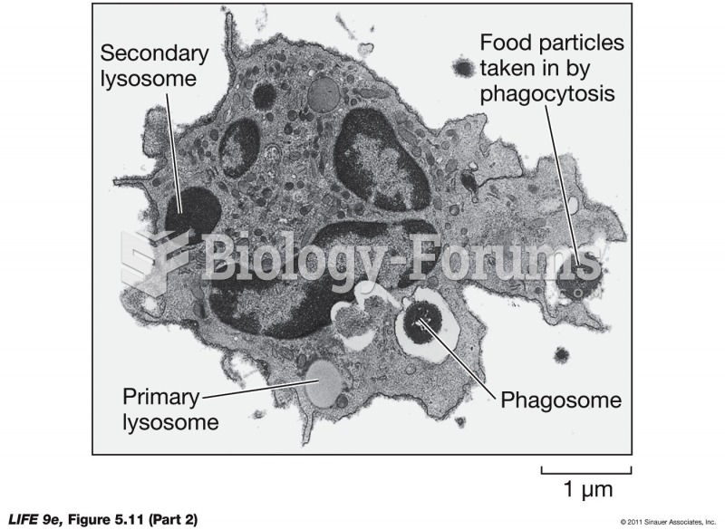 Lysosomes Isolate Digestive Enzymes from the Cytoplasm 2