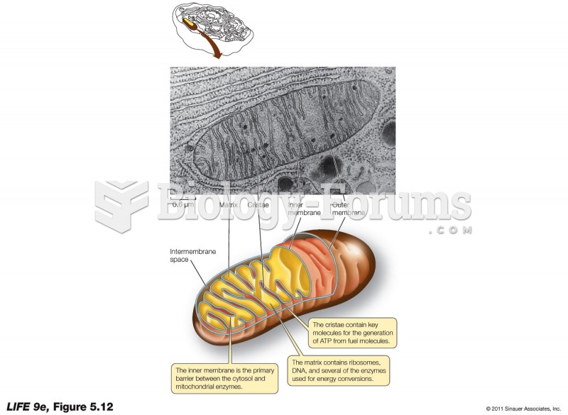 A Mitochondrion Converts Energy from Fuel Molecules into ATP