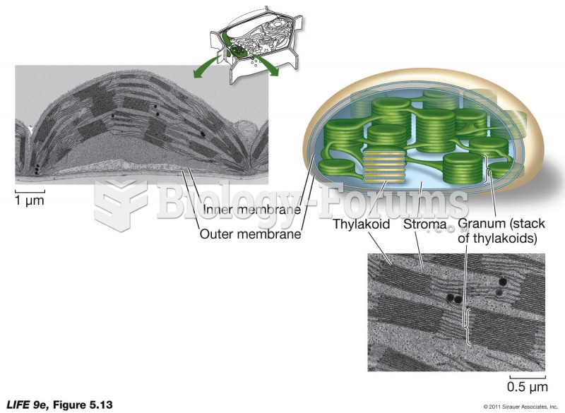 Chloroplasts Feed the World