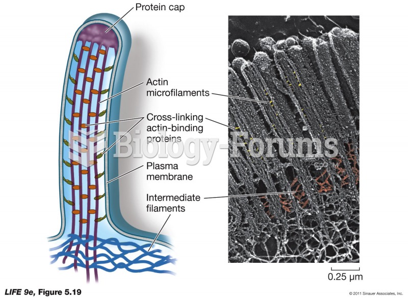 Microfilaments for Support.