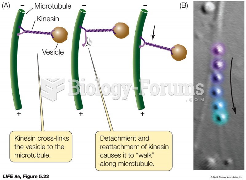 A Motor Protein Drives Vesicles along Microtubules