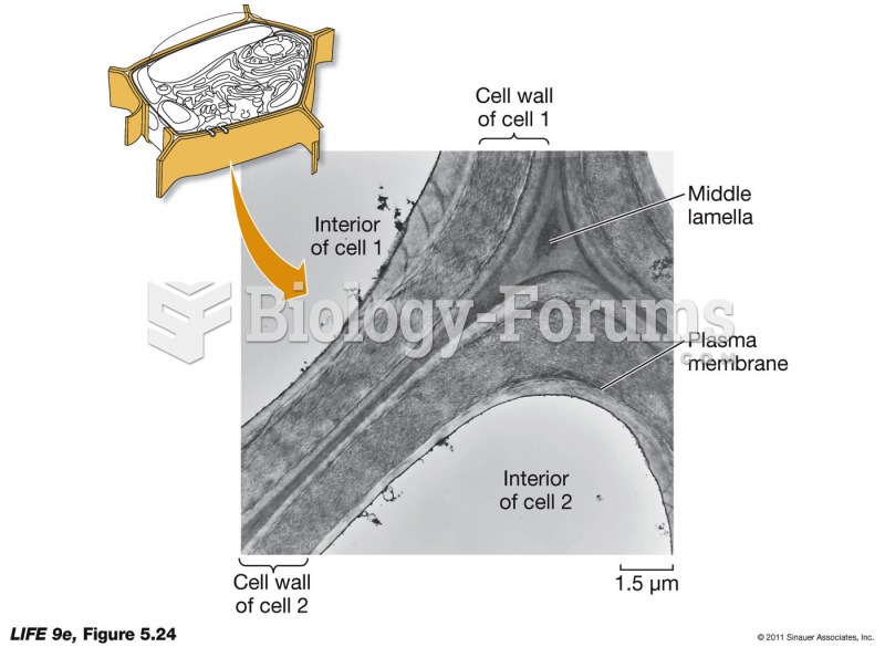 The Plant Cell Wall