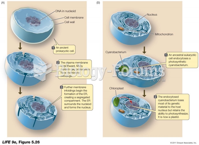 The Origin of Organelles