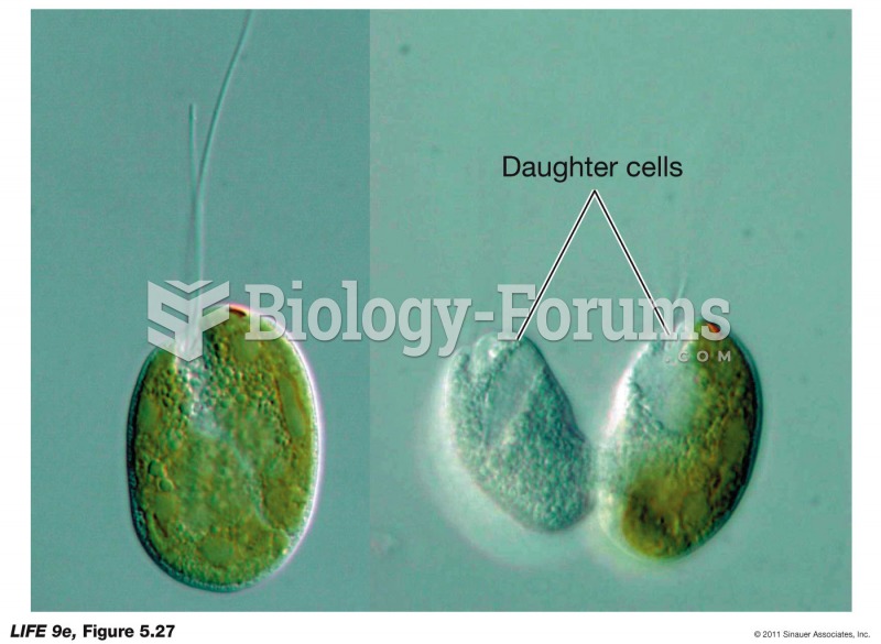 Endosymbiosis in Action