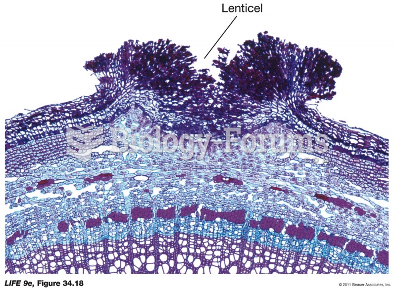 Lenticels Allow Gas Exchange through the Periderm