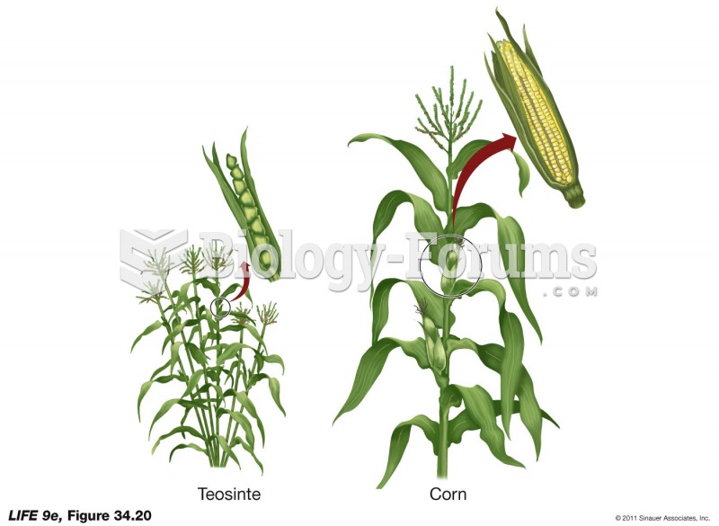Modern Corn Was Domesticated from the Wild Grass Teosinte