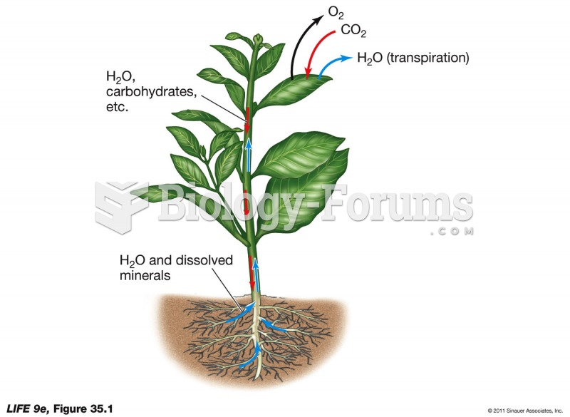 The Pathways of Water and Solutes in a Plant.