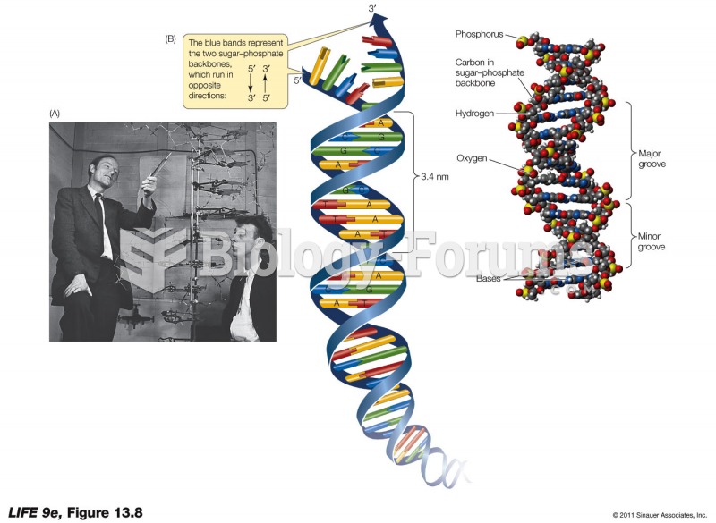 DNA Is a Double Helix