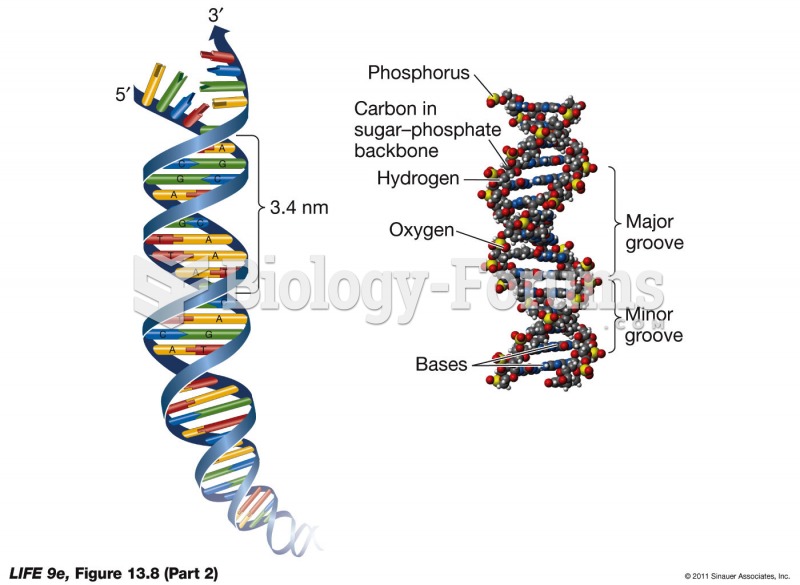 DNA Is a Double Helix p2