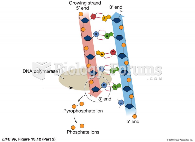 Each New DNA Strand Grows from Its 5' End to Its 3' End p2