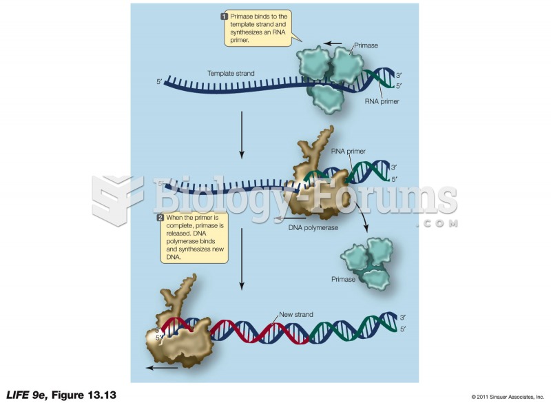 DNA Forms with a Primer