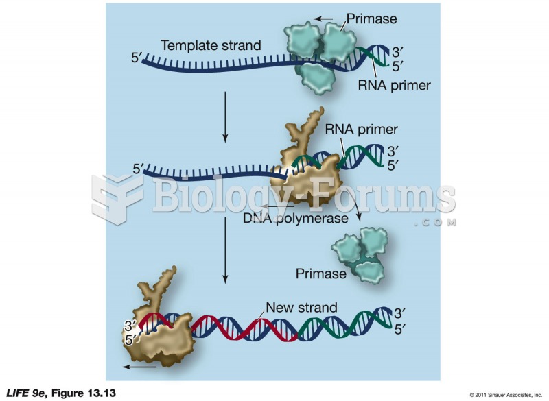 DNA Forms with a Primer