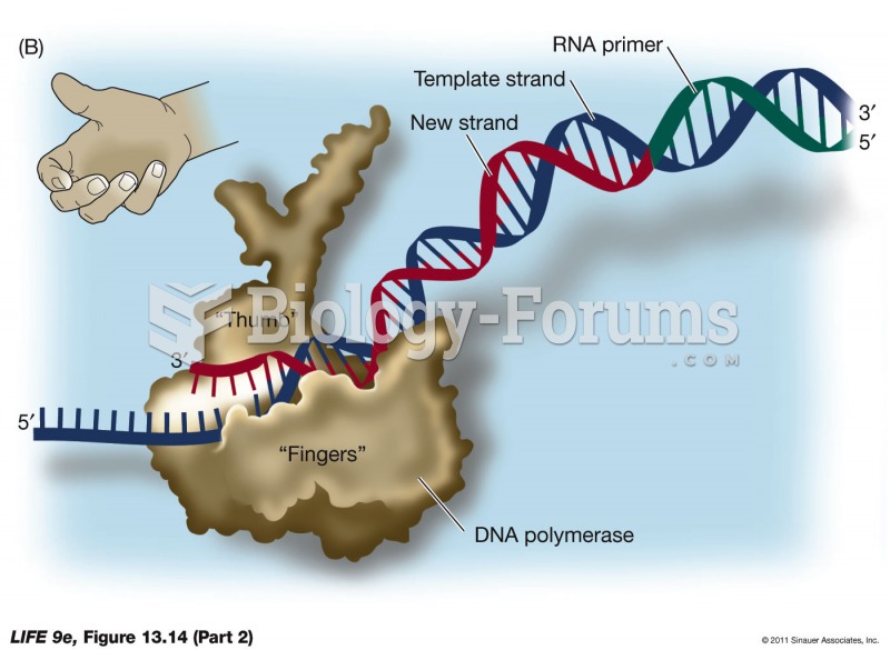 DNA Polymerase Binds to the Template Strand.p2