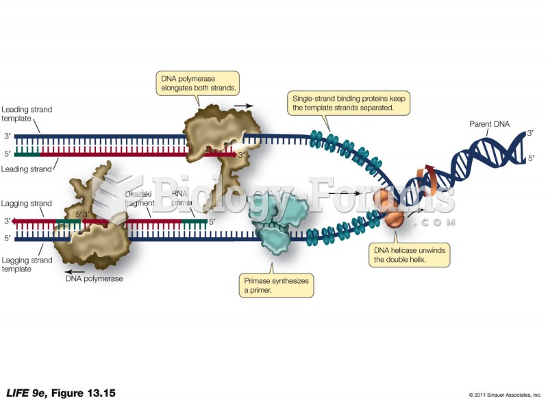 Many Proteins Collaborate in the Replication Complex