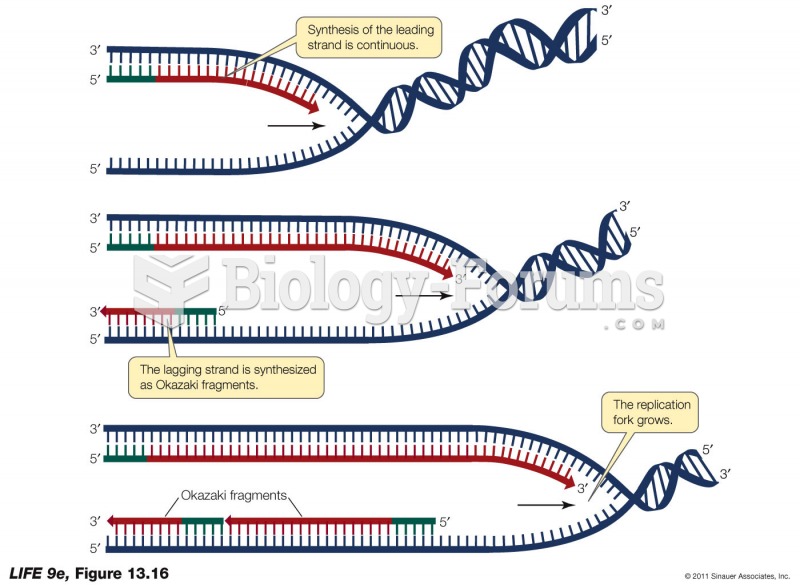 The Two New Strands Form in Different Ways