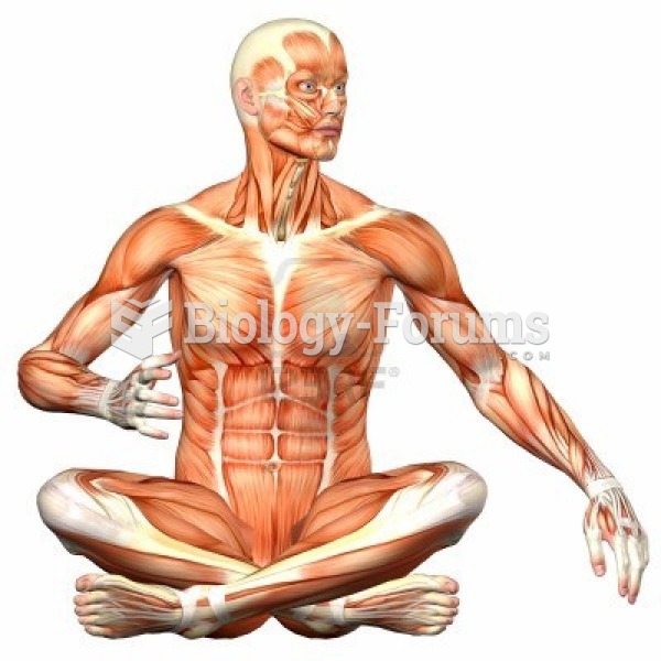 human muscles position sitting yoga