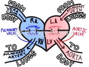 Easy way to remember blood flow through the heart cardio