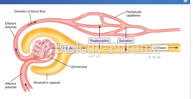 Diagram of the Glomerulus