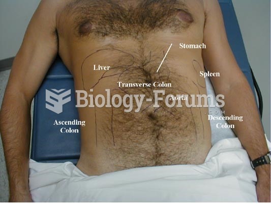 abdomen assessment