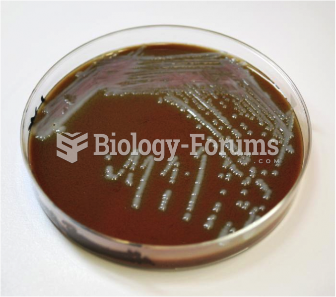 Chocolate Agar