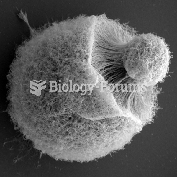 Cryptococcus neoformans giant cell.