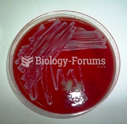 coagulase negative Staphylococcus on Blood agar