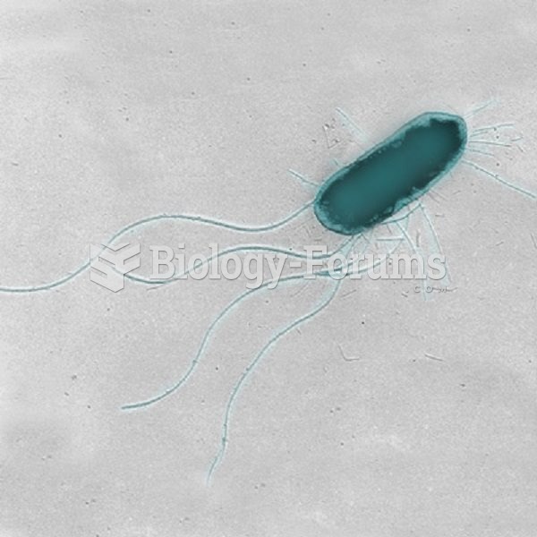 Single E. coli bacterium