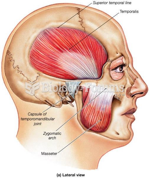 The chief muscles of mastication