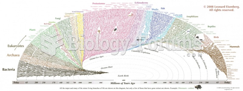 awesome diagram on evolution and diversity