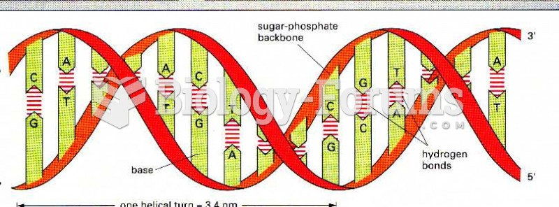 DNA detail structure
