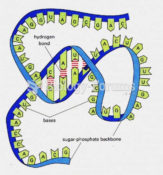 RNA structure detail