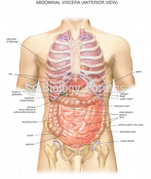 abdominal viscera