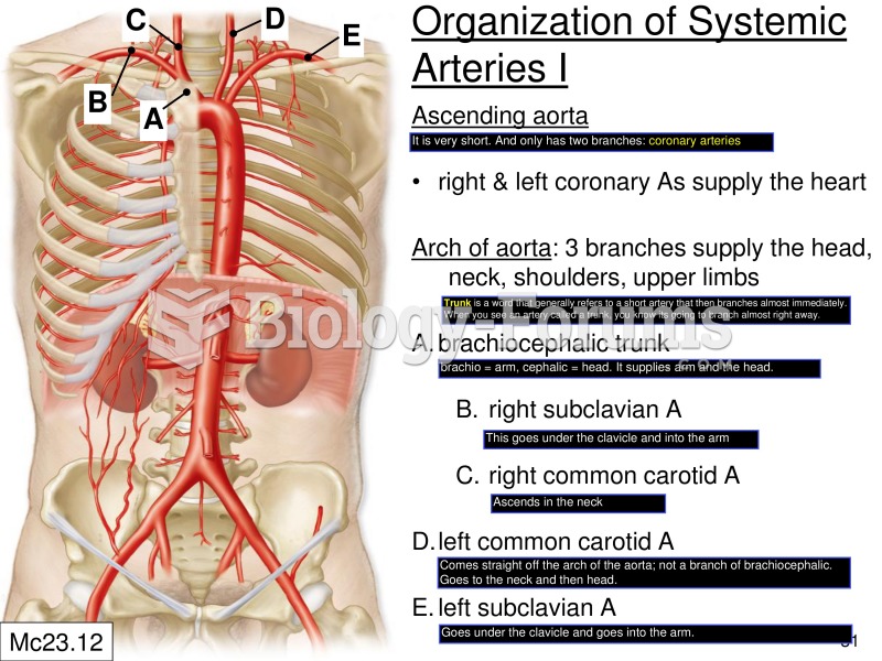 Systemic arteries: ascending aorta and aortic arch