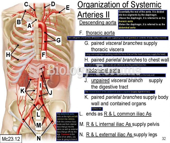 Systemic arteries: descending aorta
