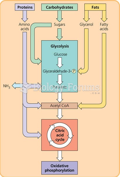 The catabolism of various molecules from food.