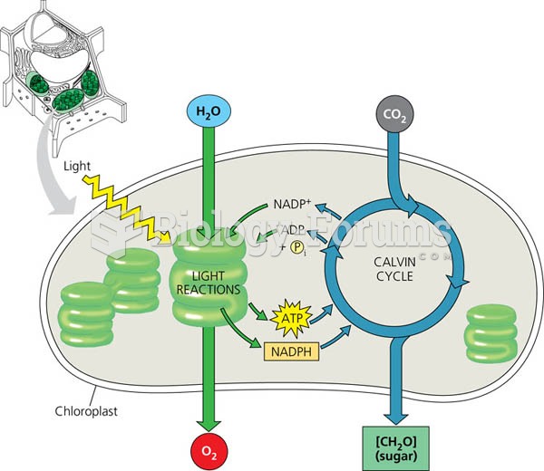 An overview of photosynthesis: cooperation of the light reactions and the Calvin cycle.