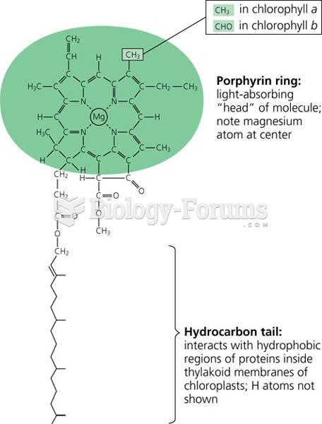 Structure of chlorophyll molecules in chloroplasts of plants