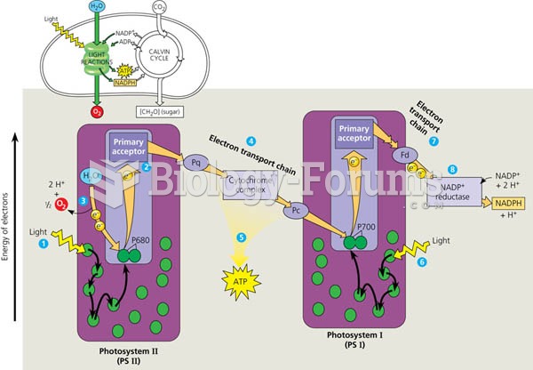 How noncyclic electron flow during the light reactions generates ATP and NADPH.