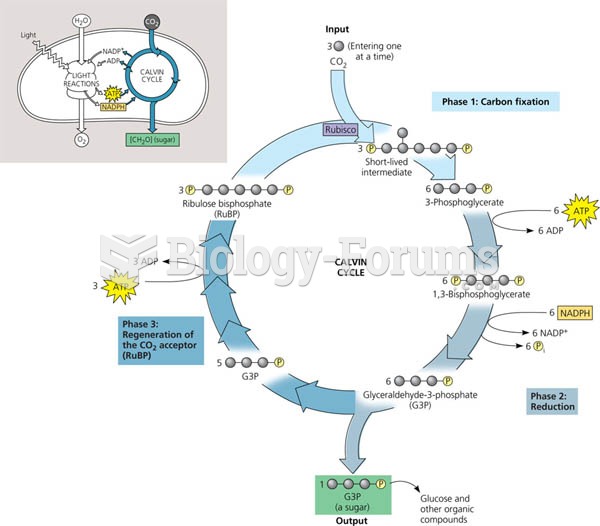 The Calvin cycle.