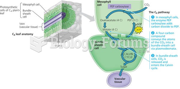 C4 leaf anatomy and the C4 pathway.